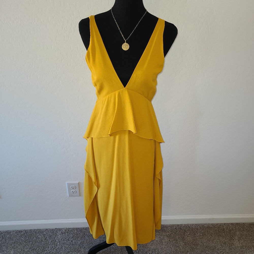 Gianni Bini Dress NWT